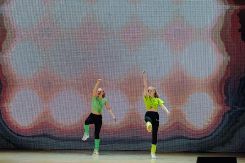 ARTS0585